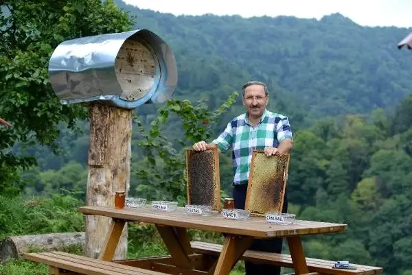 Arıcının bal testine tuttuğu ayılar, anzer balını tercih etti