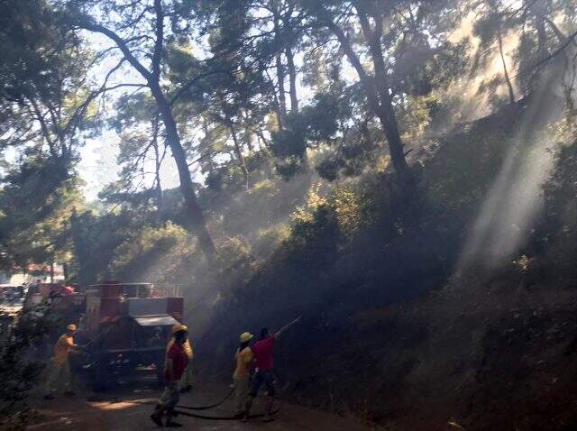 İzmir'in ardından Balıkesir ve Muğla da alev alev yanıyor İzmir'in ardından Balıkesir ve Muğla da alev alev yanıyor