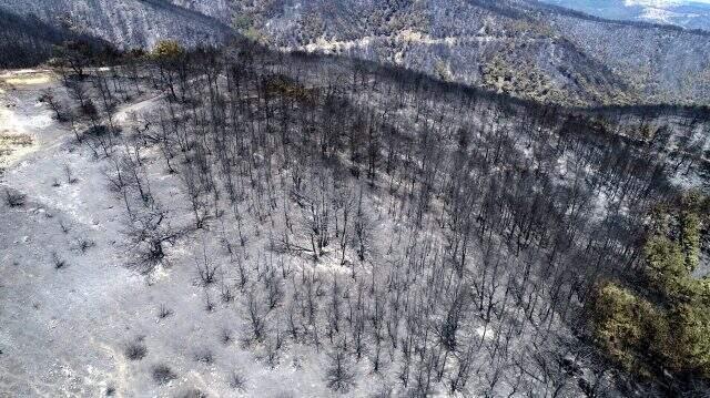 İzmir Büyükşehir Belediyesi, yangından Karşıyaka ilçesi büyüklüğünde bir alanın etkilendiğini açıkladı