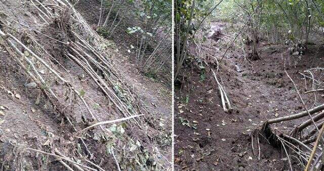 Terme'de sel çiftçiyi vurdu, zarar 250 milyon TL Samsun'un Terme ilçesinde yaşanan sel çiftçiyi vurdu! Zarar 250 milyon TL