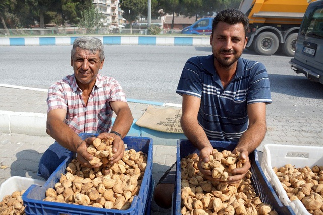 Kuru incir pazarda 40 TL'ye kadar alıcı buluyor