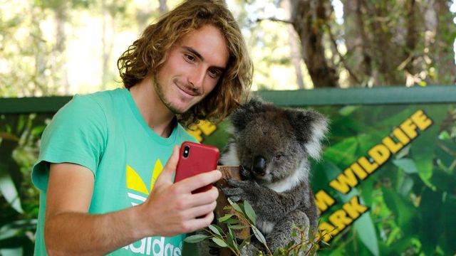 'Selfie çılgınlığı, yaban hayvanlarının doğum oranlarını düşürüyor'