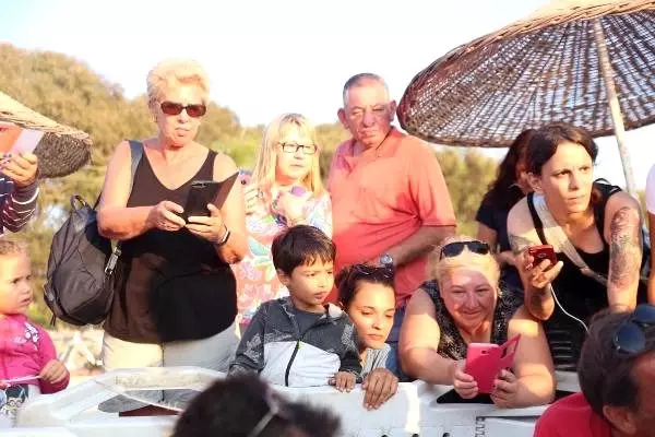 Caretta caretta yavruları Bodrum'da ilk kez görüldü