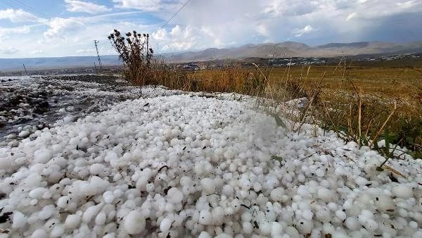 Etkili olan dolu yağışı Ardahan'ı beyaza bürüdü