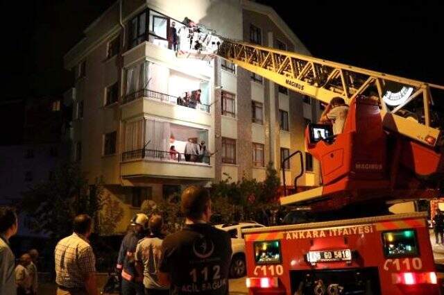Dumandan etkilenen muhabbet kuşlarına suni teneffüs yaptılar Dumandan etkilenen muhabbet kuşlarına suni teneffüs yaptılar