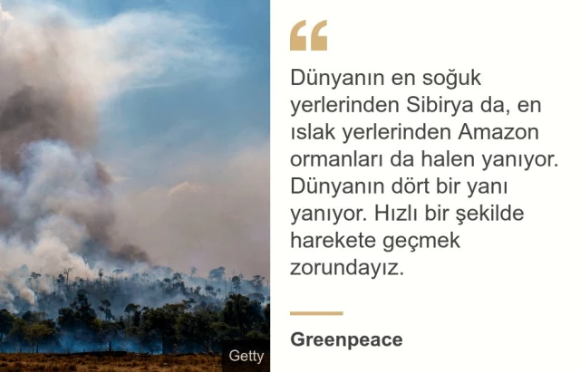 Orman yangınları: 2019 dünyanın gördüğü en kötü yıl mı oldu?