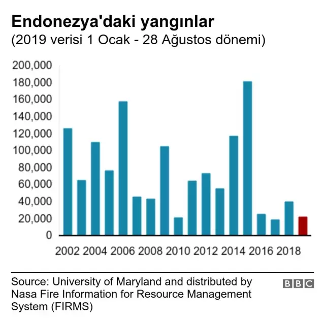 Orman yangınları: 2019 dünyanın gördüğü en kötü yıl mı oldu?