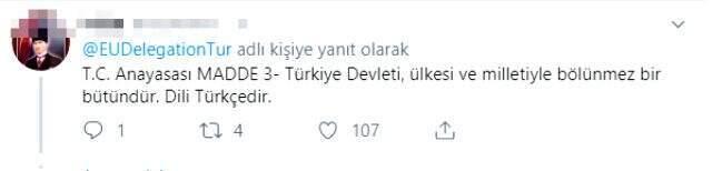AB Türkiye Delegasyonu, Arapça eğitim öğretim yılı mesajını tepkiler üzerine kaldırdı