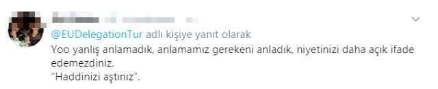 AB Türkiye Delegasyonu, Arapça eğitim öğretim yılı mesajını tepkiler üzerine kaldırdı