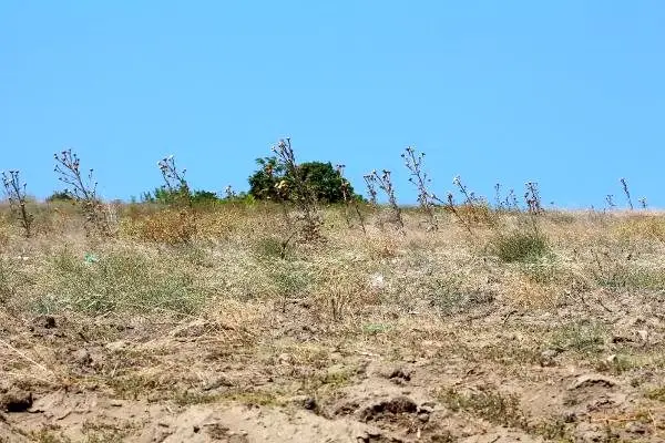 Çanakkale'de 104 yıllık kayıp Kumkale Şehitliği bulundu