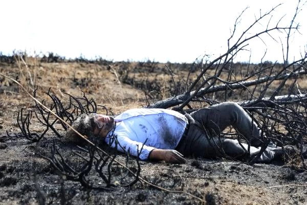 Profesör, orman yangınlarına dikkat çekmek zarar gören ağaçları sırtında taşıdı