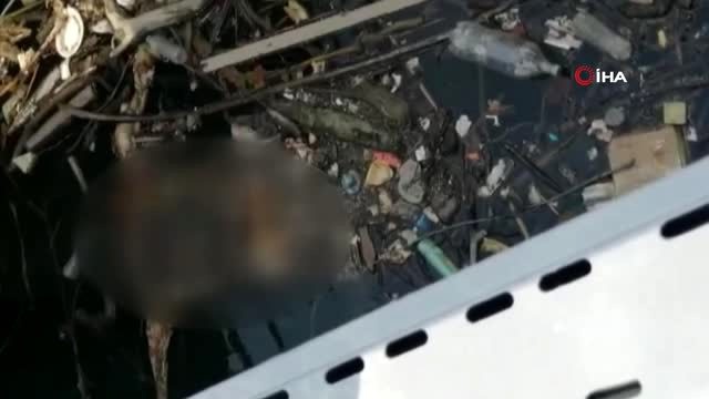 Barajda cesedi bulunan kadının 1 yıl önce öldüğü tahmin ediliyor