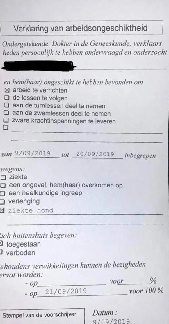 Belçika'da doktor raporu tartışma yarattı: Hasta köpeğine bakacağı için 14 gün işe gidemez