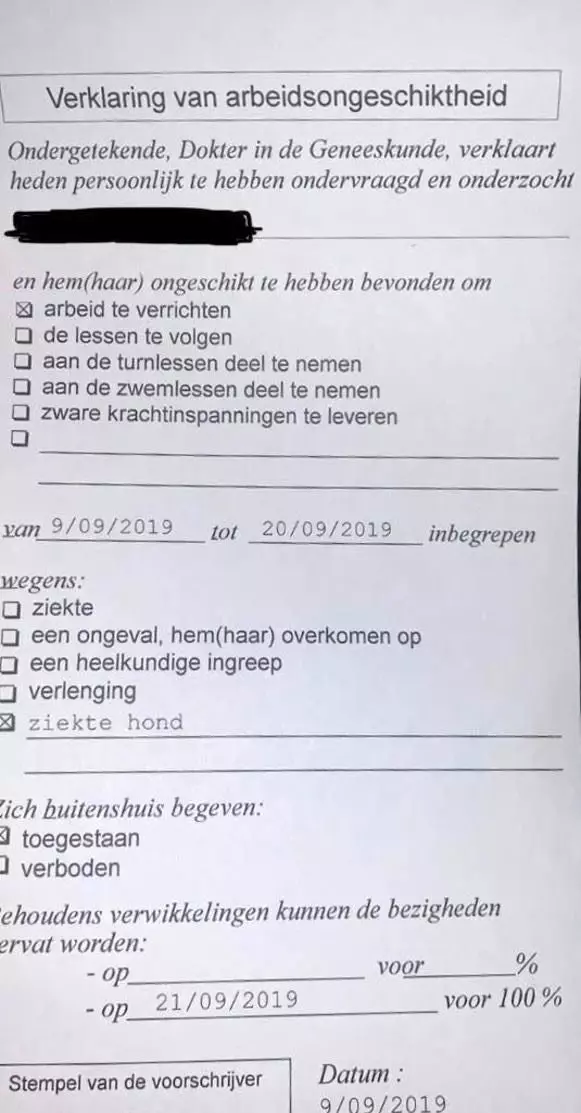 Belçika'da doktor raporu tartışma yarattı: Hasta köpeğine bakacağı için 14 gün işe gidemez