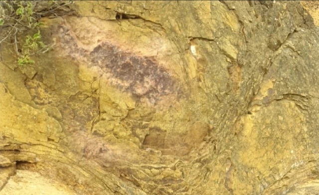 İznik'te milyonlarca yıl öncesine ait mikroorganizma fosili kalıntısı bulundu