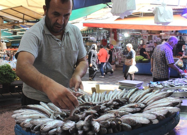 Tezgahta en ucuz balık sardalye
