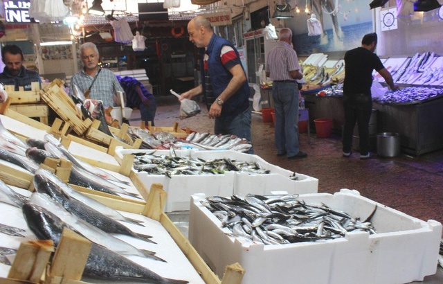 Tezgahta en ucuz balık sardalye