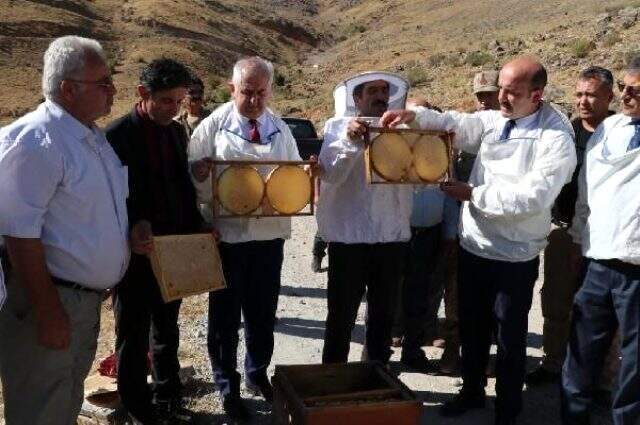 Verimli bal sezonu için şükür duasında arılar saldırdı