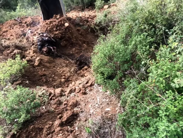 Bursa'da bir arazide toprağa gömülü halde binlerce ölü tavuk bulundu