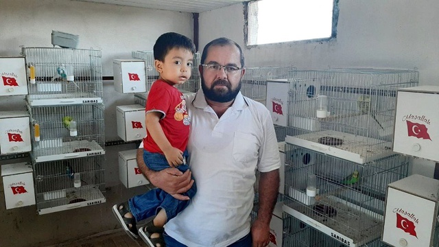 Eve giren serçeyi elektrik teli ile boynundan astılar!