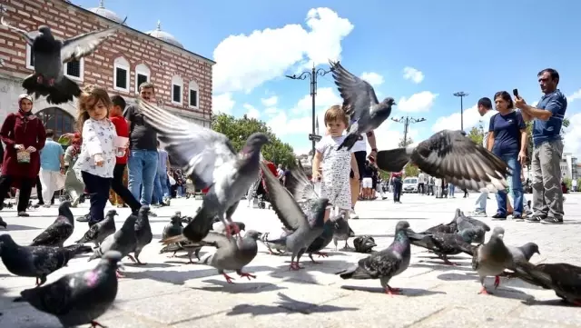 İranlılar 'şüpheli para transferleri' ile Türkiye'de hem ev hem de vatandaşlık alıyor