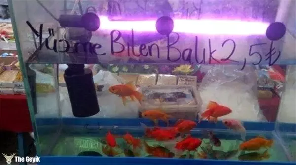 Verdikleri İlana Bakınca Samimiyetinden Asla Şüphe Etmeyeceğiniz 15 Esnaf