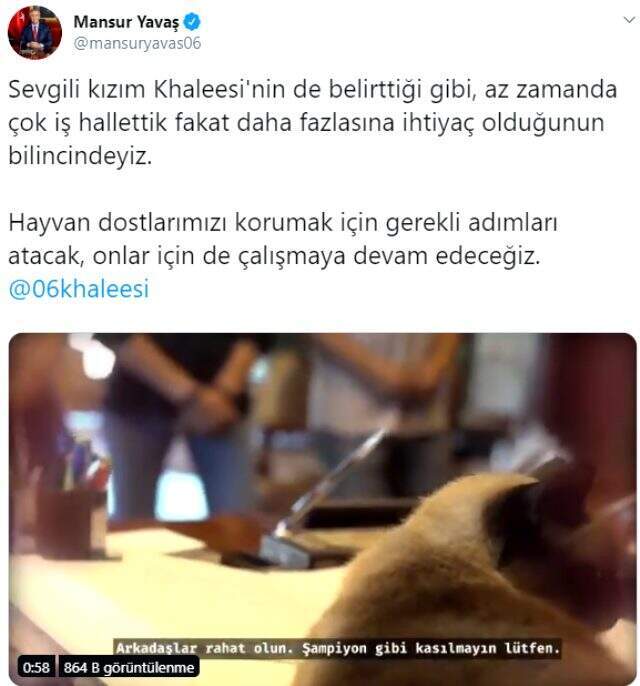 Mansur Yavaş'tan kedisi Khaleesi ile birlikte eğlenceli video Mansur Yavaş'tan kedisi Khaleesi ile birlikte eğlenceli video