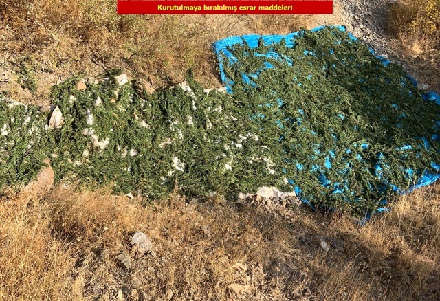 Diyarbakır'da teröristlere büyük baskın: 231 kilo esrar yakalandı