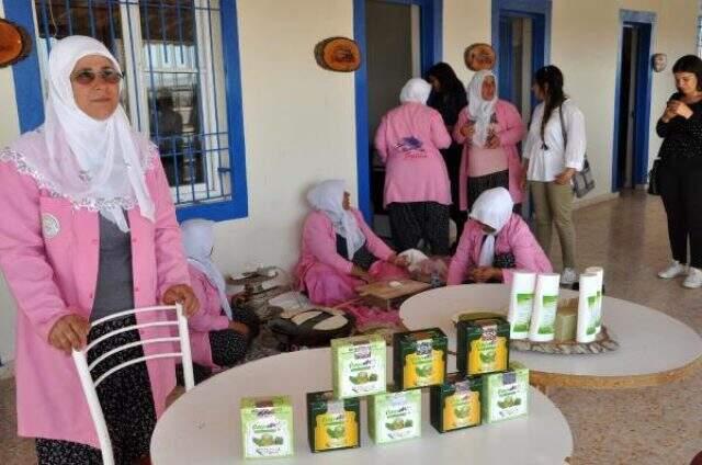 Türkiye'de sadece Nurdağı'nda yetiştirilen moringa, 300'den fazla hastalığa iyi geliyor