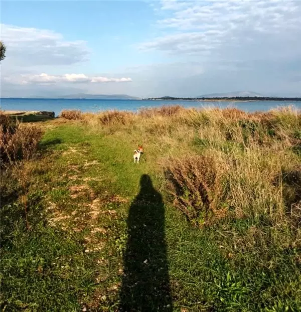 İkiye bölünen ekmek daha çok doyuruyor, bildiğim bu...