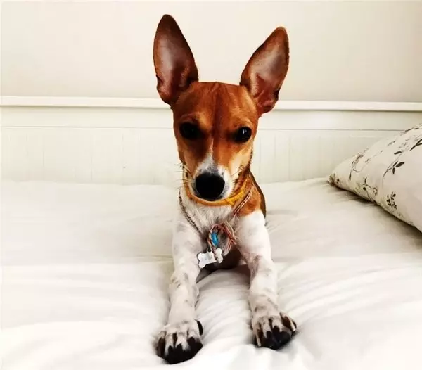 İkiye bölünen ekmek daha çok doyuruyor, bildiğim bu...