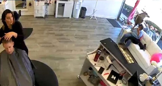 ABD'de bir geyik camı kırıp kuaför salonuna daldı! Panik anları kameraya yansıdı