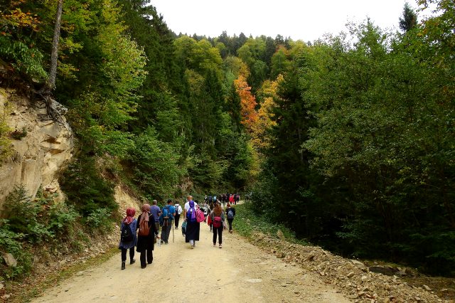 Dağcılar, Örümcek Ormanları'nda 98 kişiyle doğa yürüyüşü yaptı