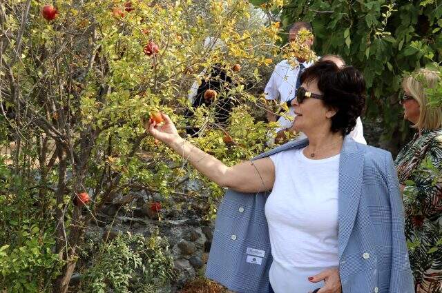 Hülya Koçyiğit Barış Pınarı Harekatı'na destek verdi