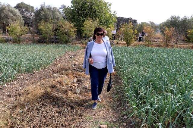 Hülya Koçyiğit Barış Pınarı Harekatı'na destek verdi