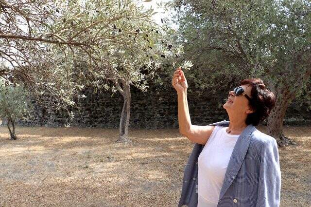 Hülya Koçyiğit Barış Pınarı Harekatı'na destek verdi