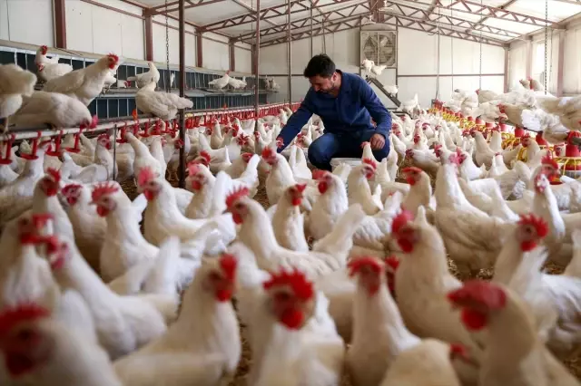 Endüstri mühendisinin