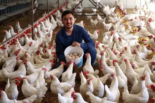 Endüstri mühendisinin