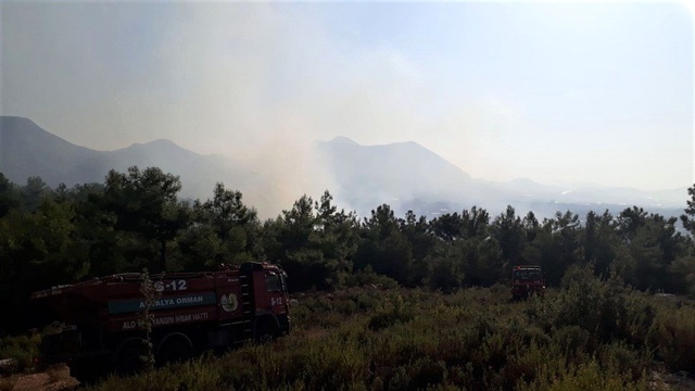 Alanya'da orman yangını büyük paniğe yol açtı