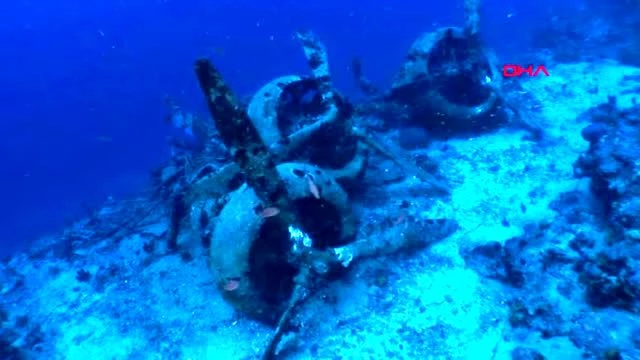 Nesli tükenme tehlikesi altında olan 'Şeytan vatozu', Antalya Körfezi'nde ilk kez görüldü