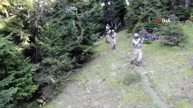 Mehmetçik yurt içi ve dışında PKK'ya nefes aldırmıyor: Cesaretleri kalmadı!