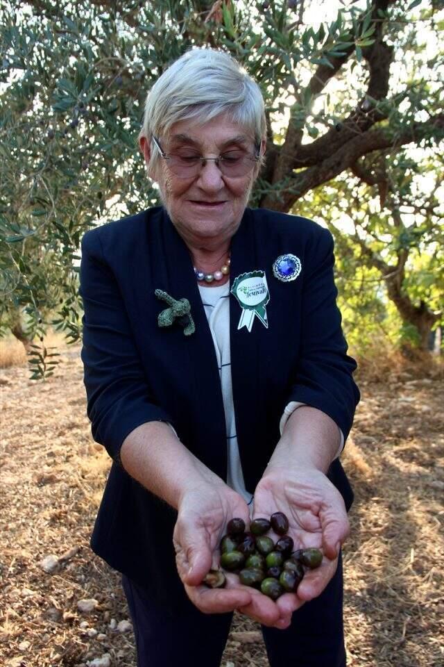 Canan Karatay açıkladı: Zeytinyağı, kanser yanı sıra birçok hastalığın ilacı