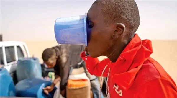 Ölüme yolculuk! Nuh'un gemisi gibi mülteci kamyonu