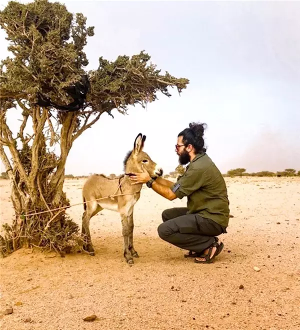 Ölüme yolculuk! Nuh'un gemisi gibi mülteci kamyonu