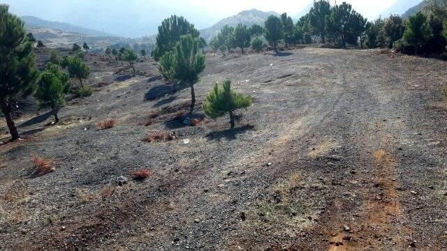 Eşinin dedikodusunu yaptığı iddia edilen kişiyi, 3 arkadaşıyla birlikte döverek öldürdü