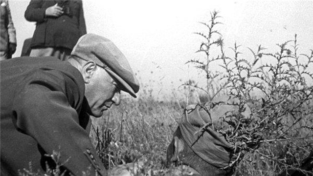 360 derece Atatürk