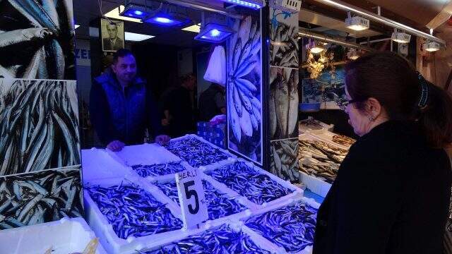 Hamsi fiyatıyla yüzleri güldürmeye devam ediyor Hamsi fiyatıyla yüzleri güldürmeye devam ediyor
