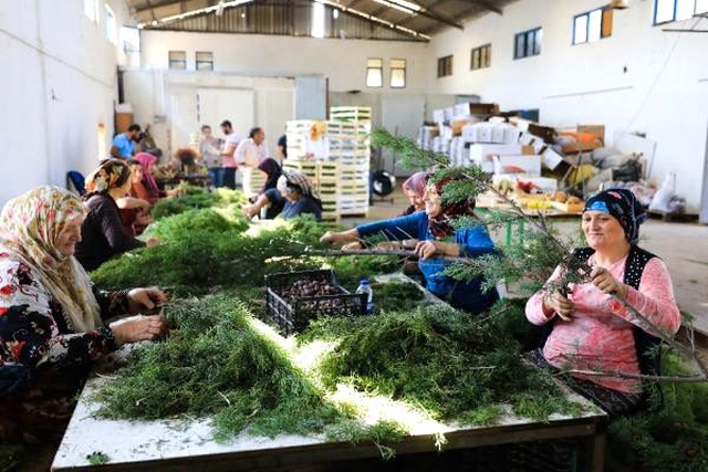 Orman çöplerinden Noel çelenkleri yapıp 20 ülkeye ihraç ediyorlar!