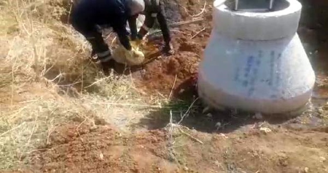 Yavru köpekleri çuvala koyup, lağım çukuruna attılar