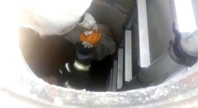 Yavru köpekleri çuvala koyup, lağım çukuruna attılar
